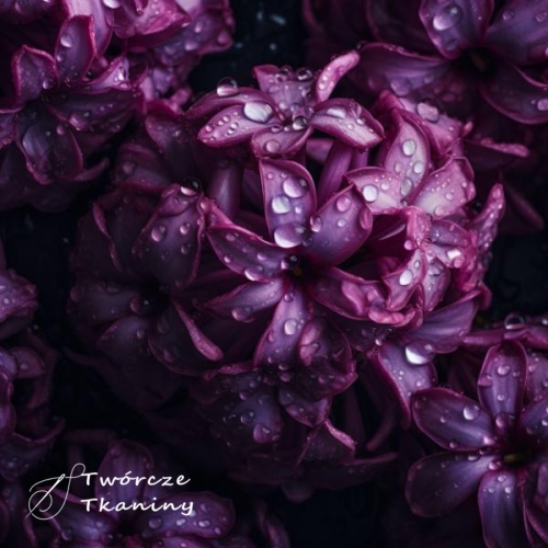 0124 purple-hyacinth-flowers-with-large-drops-water-closeup-lovely-spring-flower-background.jpg