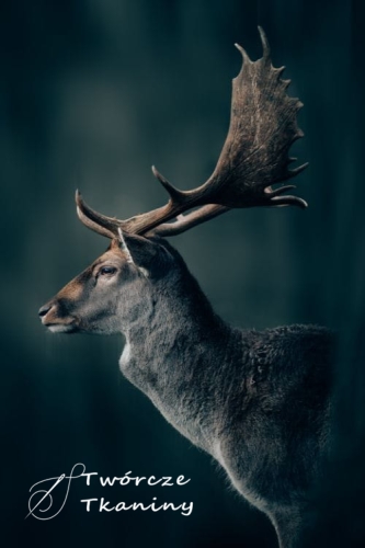 0823 beautiful-selective-focus-shot-elk-with-big-antlers-captured-teutoburg-forest.jpg